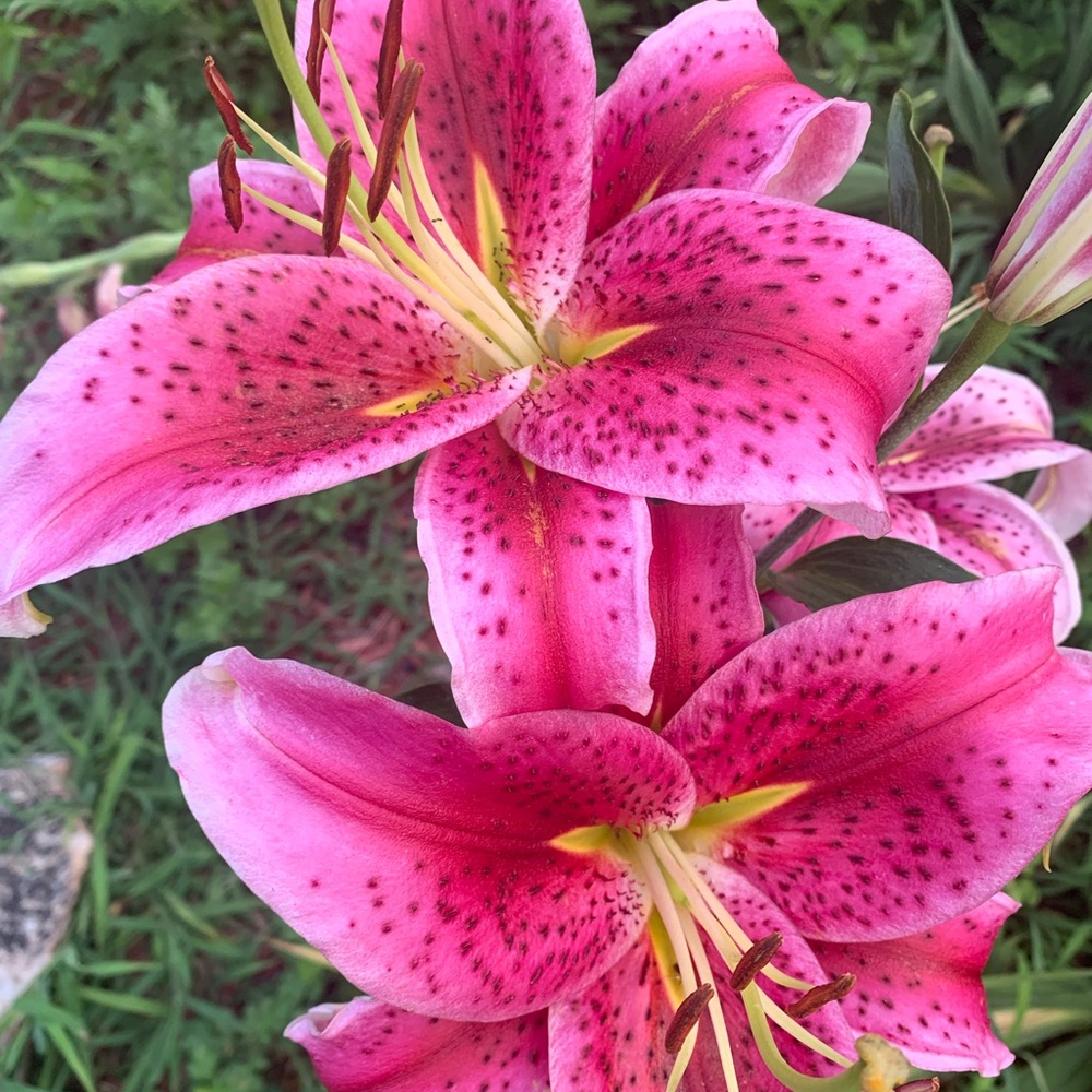 Meet your Posher, Christin